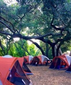 EverBrite 18-Pack Mini LED Flashlight Set - Portable Flashlights Ideal for Hurricane Supplies Camping, Night Reading, Cycling, BBQ, Party, Backpacking - Includes Lanyard & 54 x AAA Batteries 58 51ZbOAgCltL