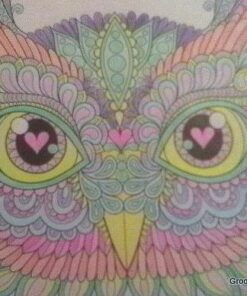 Groovy Owls Coloring Book (Coloring is Fun) (Design Originals) 32 Adorable Art Activities with Quiet, Stoic, Wise, and Happy Owls, plus Beginner-Friendly Advice, Techniques, Color Choices, & Examples Paperback, Coloring Book 59 51ZbU8K2LPL