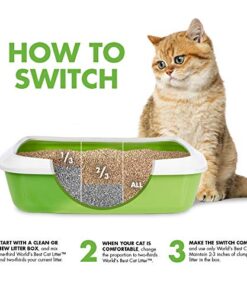 World's Best Cat Litter, Clumping Litter Formula for Multiple Cats, 28-Pounds 24 51ZfQnTJrbL