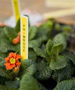 Alternative view of Brother P-touch, PTD210, Easy-to-Use Label Maker, One-Touch Keys, Multiple Font Styles, 27 User-Friendly Templates, White, Gray/White