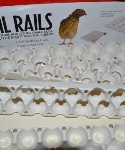Little Giant® Quail Rails | 120 Eggs | Turner Equipment for Incubating Small Eggs | Quail Egg Incubator 14 51Zo6WGoilL