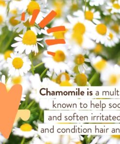 BABO Botanicals Sensitive Baby Fragrance-Free Diaper Cream - 25% Natural Zinc Oxide - Calendula, Shea & Cocoa Butter - EWG Verified - Vegan- from Birth on - 1 or 2 Pack Pack of 1 18 51ZryAQSlPL