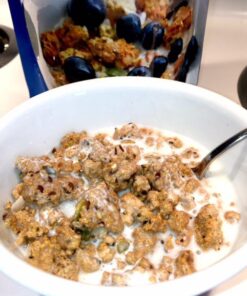 Julian Bakery® ProGranola® Cereal | Vanilla Cinnamon | 12g Protein | Paleo | 2 Net Carbs | Gluten-Free | Grain-Free | 15 Servings 1.22 Pound (Pack of 1) 42 51ZwPTtKzOL