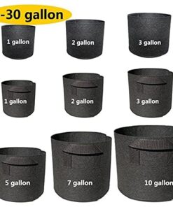 SUPERthrive The Original Vitamin Solution - Liquid Concentrate, May Add to Any Fertilizing Program, 4 fl. oz. 4 Ounces 31 51a47ACTFL