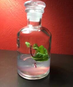 BLOOMIFY Celosia Flower Terrarium, Zero Care, Cockscomb, 4" Jar 25 51aFSTpd PL