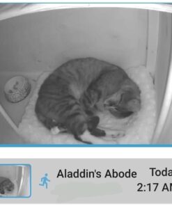 Car Seat Sun Shade Cover - Keep Your Baby's Carseat at a Cooler Temperature - Covers and Blocks Out Heat & Sun - More Comfortable for Baby or Child - Protection from UV Sunlight - Mommy's Helper 32 51aG8f6IJXL 1