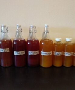 The Kombucha Shop Organic Kombucha Starter Kit - 1 Gallon Brewing Kit Includes All The Essentials Required for Brewing Kombucha At Home Regular 63 51aRcFXXjtL