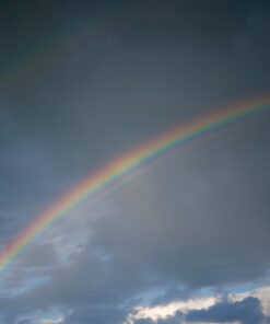 Nikon NIKKOR Z 50mm f/1.8 S | Premium large aperture 50mm prime lens (nifty fifty) for Z series mirrorless cameras | Nikon USA Model 40 51aazcDsTCL