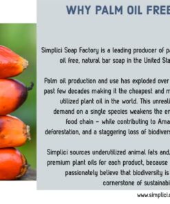 SIMPLICI Orange & Cinnamon Bar Soap Value Bag (6 Bars) Bulk Palm Oil Free. Scented with Pure Essential Oils. 13 51awwTFMYZL