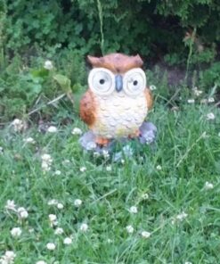 Solar Powered Owl Outdoor LED Garden Light 16 51b67WmxWDL