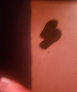 Reef Women's Bliss Nights Flip-Flop 7 Black 24 51bFqw7tNvL