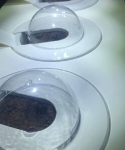 Click and Grow SGR24x3 Smart Garden Wild Strawberry Plant Pods, 3-Pack 35 51bNPk5CEdL