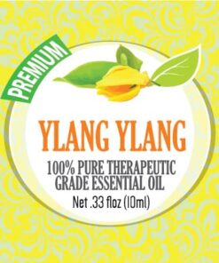 Healing Solutions 10ml Oils - Ylang Ylang Essential Oil - 0.33 Fluid Ounces 0.33 Fl Oz (Pack of 1) 9 51bVVid xPL