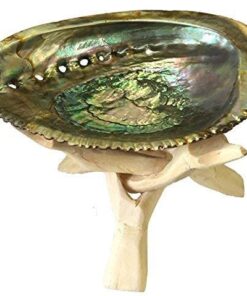New Age Smudges & Herbs® 5 - 6 inches Premium Natural Abalone Shell &Wooden Stand~ Smudging, Cleansing Home, Meditation, Incense Holder, Home Décor, 100% Natural & Sustainable. 35 51bu0TRgVPL 1