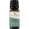 Plant Therapy Eucalyptus Radiata Essential Oil 10 mL (1/3 oz) 100% Pure, Undiluted, Therapeutic Grade 0.3 Fl Oz (Pack of 1)