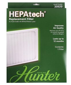 Hunter Fan Company HEPAtech Replacement Filter 11 51cDxjTJyL