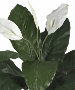 Alternative view of Nearly Natural 6518 Spathyfillum with Wicker Silk Plant Green