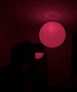 Amazon Basics - Smart A19 LED Light Bulb, 2.4 GHz Wi-Fi, 7.5W (Equivalent to 60W) 800LM, Works with Alexa Only, 1-Pack, Certified for Humans, Multicolor Color Changing 1 Pack 26 51cXATGDk2L