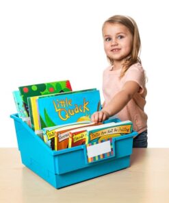 Really Good Stuff Picture Book Library Bins With Dividers - Neon Set Of 4 11 51cYj y72YL