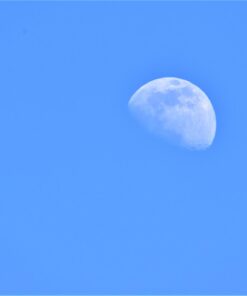 Big Mike’s High-Power 500mm/1000mm f/8 Manual Telephoto Lens for Nikon DSLR, Black 45 51ciT1bc8TL