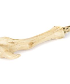 The Noble Collection Harry Potter Lord Voldemort's Wand in Ollivander's Box 29 51cnUAY3lbL