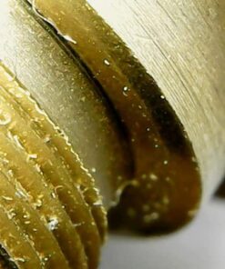 Jiusion WiFi USB Digital Handheld Microscope, 50 to 1000x Wireless Magnification Endoscope 8 LED Mini Camera with Metal Stand Compatible with iPhone iPad Mac Windows Android 57 51cv7O3TgIL