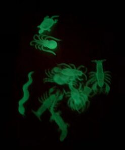 Glow in the Dark Insects - 144 Pieces - Party Favor and Prank Toys - Assorted Reptiles and Bugs Toys – Great for Halloween, Birthday Parties, Piñatas, Prizes and More - by Skeleteen 22 51cvhEqWSlL