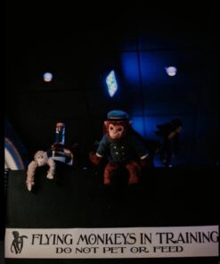 Fuzzy Friends 1 Each Burnt Orange, Blonde, Cream and Dark Brown Fuzzy Friends Plush Monkey with Velcro Hands Furry Stuffed Animal, Set of 4 Multicolored 25 51d1Ckhtj L