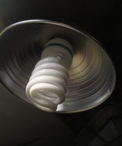 ePhoto Hydroponic Full Spectrum CFL Grow Light Bulb 60 Watt Bulb 5500K H60 17 51d4bOkqSkL