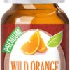 Healing Solutions 10ml Oils - Wild Orange Essential Oil - 0.33 Fluid Ounces 53 51dCc9Jl49L