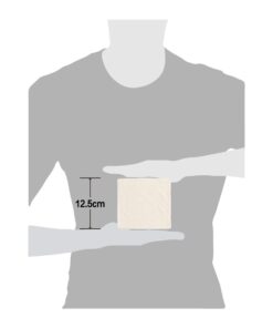 babygoal Baby Cloth Wipes 12 Pack, Washable Reusable Rayon from Bamboo Small Saliva Towels for Newborns, Ultra-Soft Cloth Face Wipes Beige 4.92x4.92 Inch (Pack of 12) 27 51dEJRRn9L