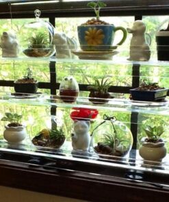 Beautiful Views Hanging Window Plant Shelves (4 Shelves) 4 Shelves 20"x6"x54" 43 51dOdmNOOpL