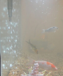 AquaClear 50 Power Filter, Fish Tank Filter for 20- to 50-Gallon Aquariums (Packaging may vary) 20 to 50 Gallons - 50 38 51dRdlHGWyL