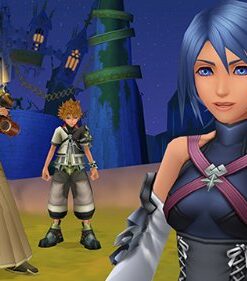 Kingdom Hearts HD 2.5 ReMIX - PlayStation 3 Standard 30 51dZJ6f3pmL