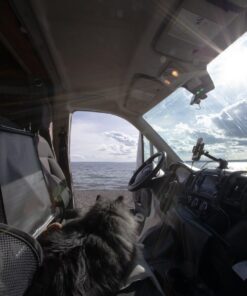 kingphenix Lumbar Support (2 Pack) with Breathable Mesh, Suit for Car, Office Chair Mesh - Black 45 51davLASAKL