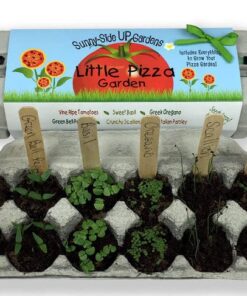Backyard Safari Company Sunny-Side Up Gardens, Little Pizza Garden 12 51dc20JOyYL