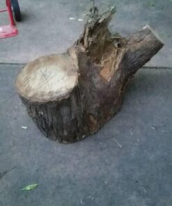 Granberg Chainsaw Alaskan Small Log Mill, G777- Portable Sawmill Timber Attachment Machine Tool - Wood Case Cutting Holder Equipment Guide Kit - Bars with 16-20 Inch - Lumber Milling Wedge Tools 67 51dnErHG6kL