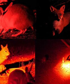 WINDFIRE WF-802 Tactical Flashlight Waterproof 350 Lumens 250 Yard Long Range Throwing RED LED Coyote Hog Hunting Light Lamp Torch with Pressure Switch & 1“ Scope Mount Black 15 51dqUWwn70L