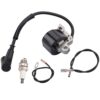 Hipa MS290 026 Ignition Coil for STHIL 029 028 036 024 MS240 MS260 MS310 MS360 Chainsaw 0000 400 1300 Ignition Coil with Spark Plug 17 51dtZSprauS