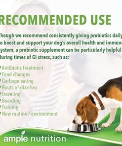 Ample Nutrition Complete Pet Prebiotic + Probiotic for Dogs & Cats, 60ct Pork Flavored Pearls 25 51e7zeDgnDL