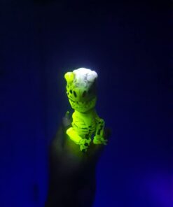 WowWee Untamed Skeleton Raptor by Fingerlings – Gloom (Sand) – Interactive Collectible Dinosaur 23 51eha4fJYCL