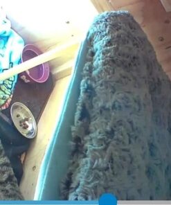 Car Seat Sun Shade Cover - Keep Your Baby's Carseat at a Cooler Temperature - Covers and Blocks Out Heat & Sun - More Comfortable for Baby or Child - Protection from UV Sunlight - Mommy's Helper 33 51fIv5lxo3L 1