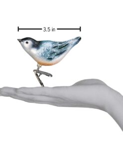 Old World Christmas Ornaments: Nuthatch Glass Blown Ornaments for Christmas Tree 20 51fZ0a SrlL