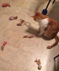 The Natural Pet Company Cat Toys Collection in Gift Box 20 51fZWcZzKKL 1