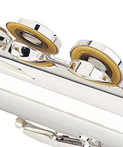 Glory Silver Plated Intermediate Open/Closed Hole C Flute with Case,Tuning Rod,Polish Cloth,Joint Grease,a pair of Gloves and screw driver 16 Open Hole 16 51fb LsYUL