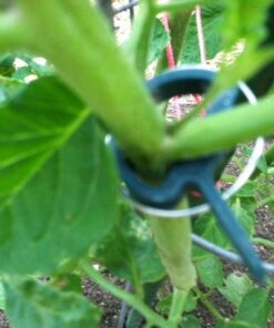 Sago Brothers 40 PCS Plant Clips Garden Clips for Tomato Cage, Tomatoes Clips Plant Support Clips for Bamboo Stakes, Climbing Plants, Vines, Gentle Plant & Flower Trellis Clips for Plant Stalks, Stems SL-40p-(20S+20L) 39 51fmIszWJ6L