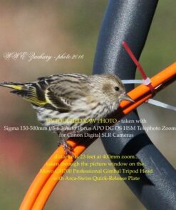 Stunning Digital Photography 26 51gF5MEtAL