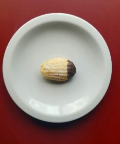 USA Pan Bakeware Madeleine Pan, 16-Well, Aluminized Steel 60 51gWXArkxPL