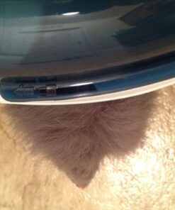 Catit Design Senses Play Circuit, Original Blue 20 51gfpQ4YekL