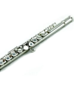 Sky C Flute with Lightweight Case, Cleaning Rod, Cloth, Joint Grease and Screw Driver - Curved Silver 10 51gh0aCpE0L